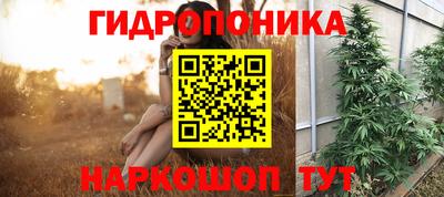 бошки Гагарин
