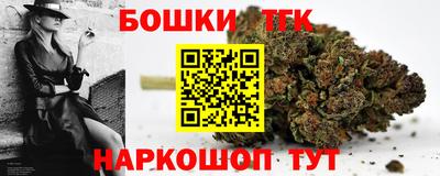 бошки Гагарин