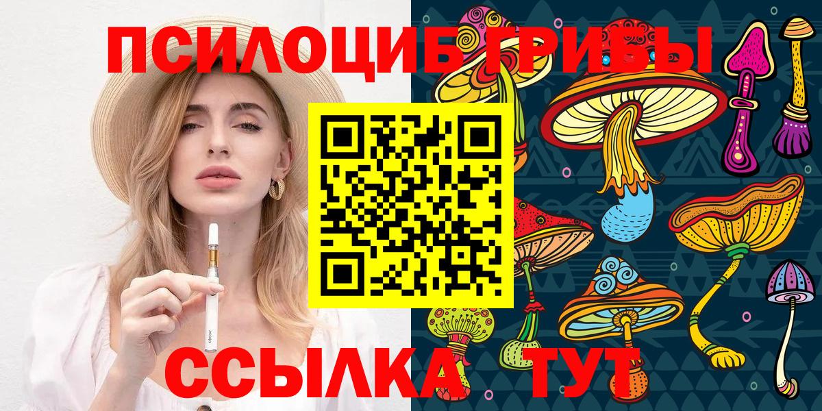 Пятигорск  Галлюциногенные грибы Cubensis  Вход с VPN  Псилоцибиновые грибы прущие грибы 